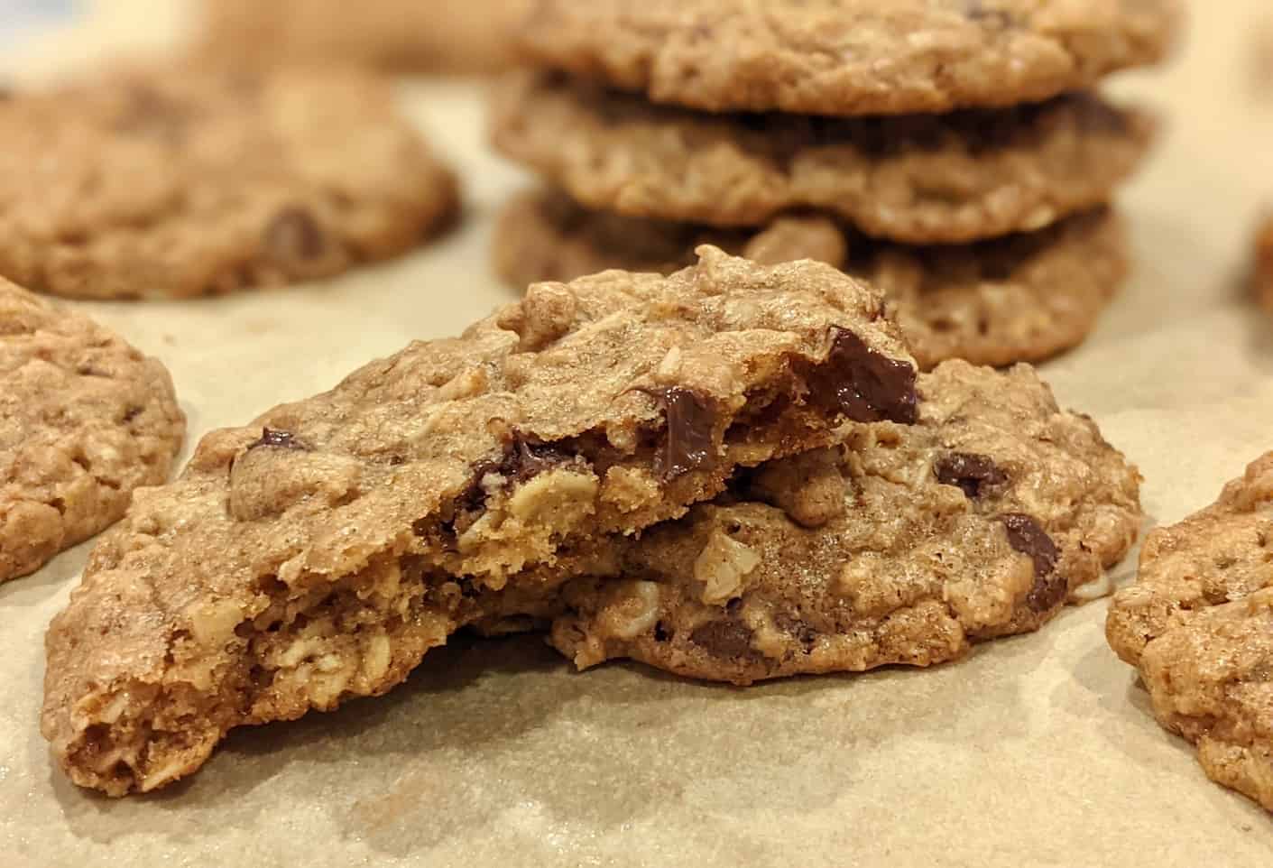 oatmeal chocolate chip cookie