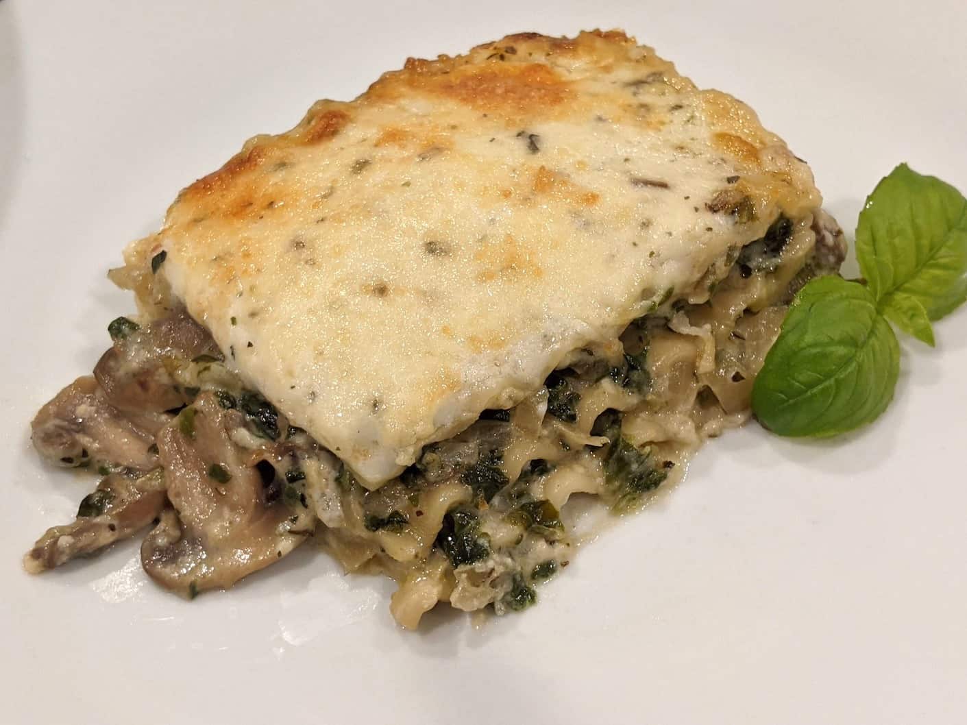 mushroom and spinach lasagna with white sauce